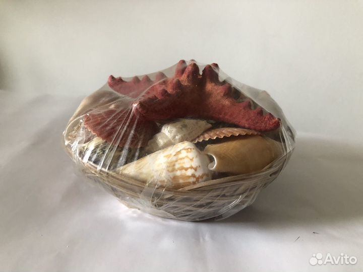 Морские ракушки набор доставка
