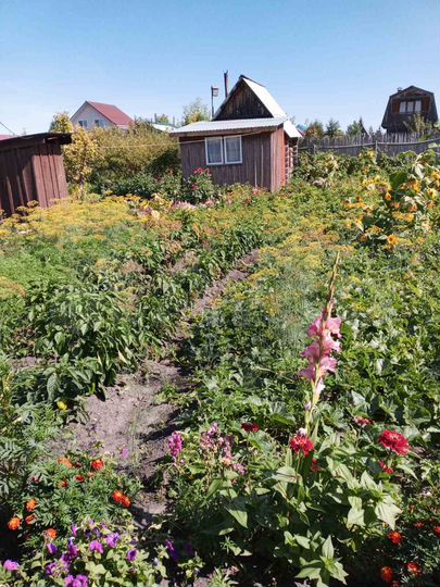 Дача 45 м² на участке 16 сот.