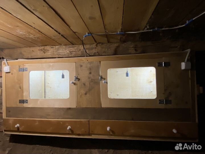 Брудер для цыплят