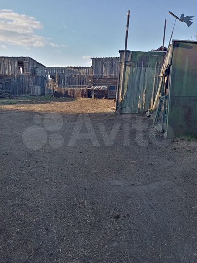 Дом 54 м² на участке 25 сот.