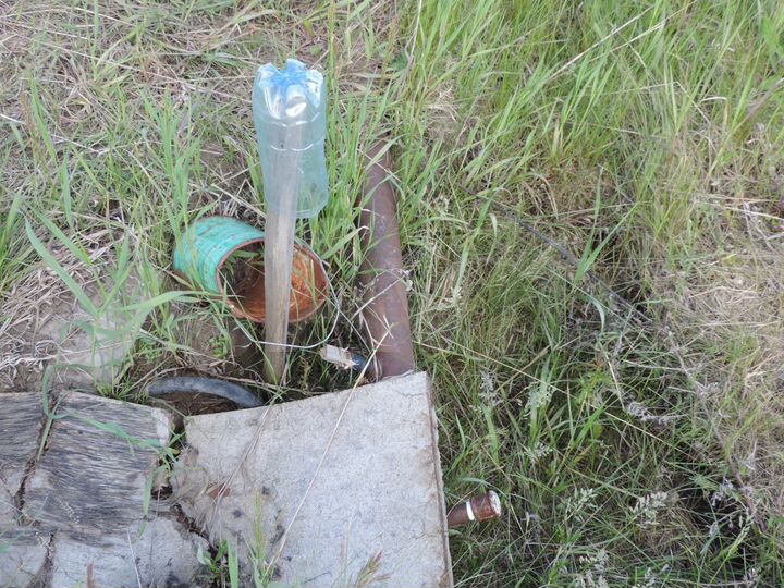 Участок 10 сот. (СНТ, ДНП)