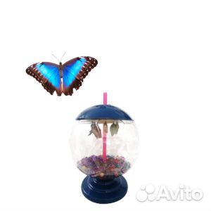 Ферма живых бабочек