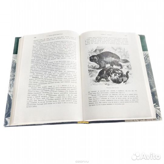 А. Э. Брэм Жизнь животных (комплект из 3 книг)