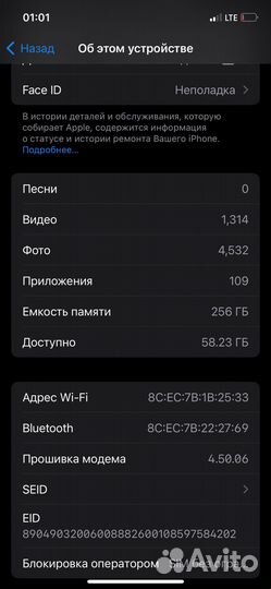 iPhone 12, 256 ГБ