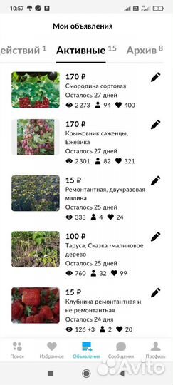 Саженцы малины, Полька