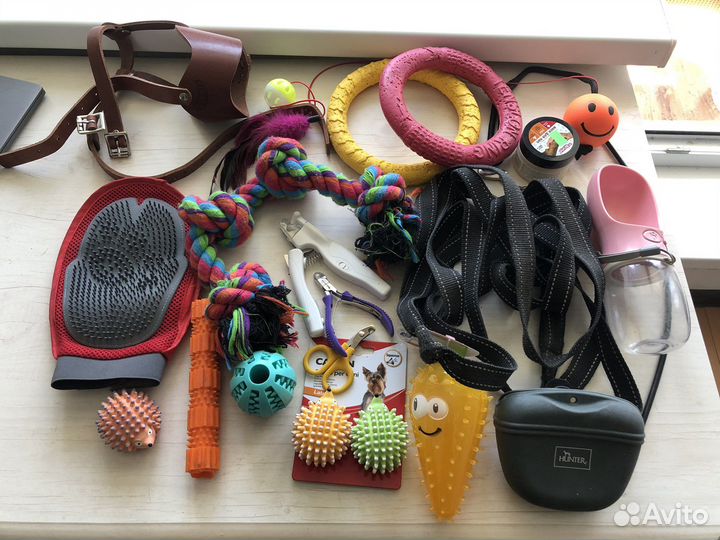 Игрушки и аксессуар для собак