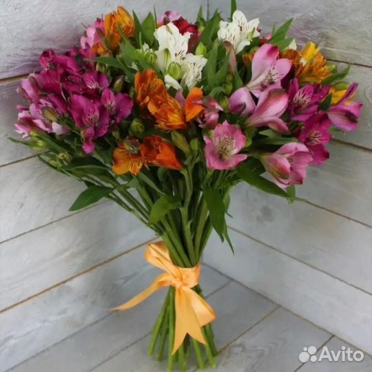 Альстромерия