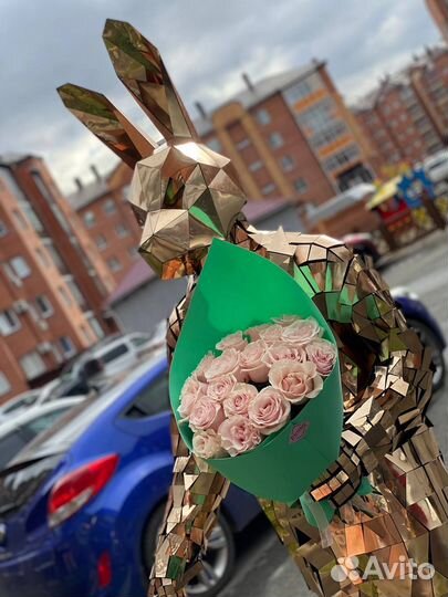 Зеркальное шоу Зеркальный заяц