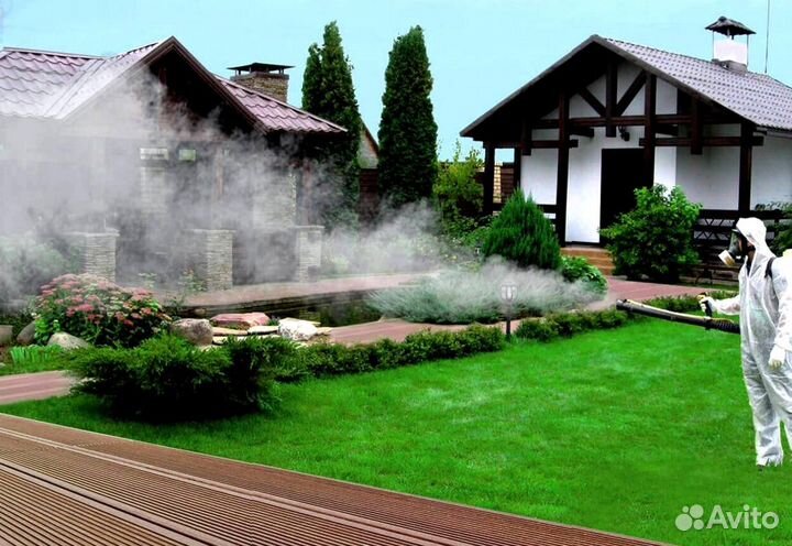 Уничтожение клопов тараканов