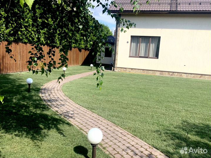 Рулонный газон 