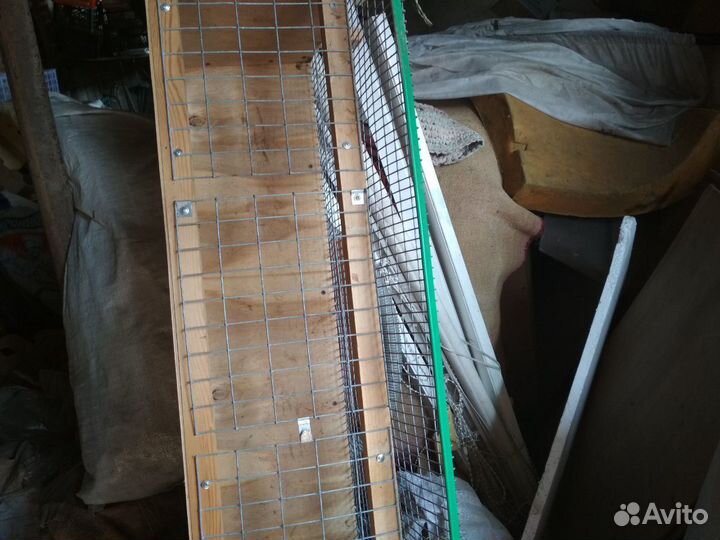 Клетка перепелиная