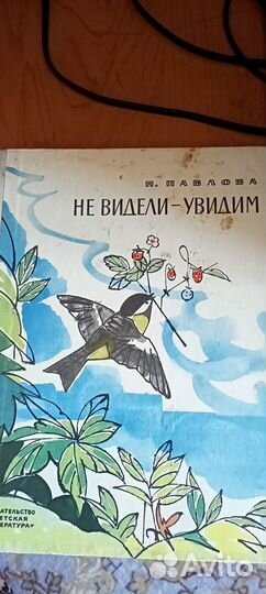 Книга детская Павловой Не видели-увидим
