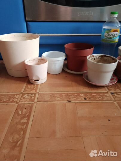 Горшки под растения