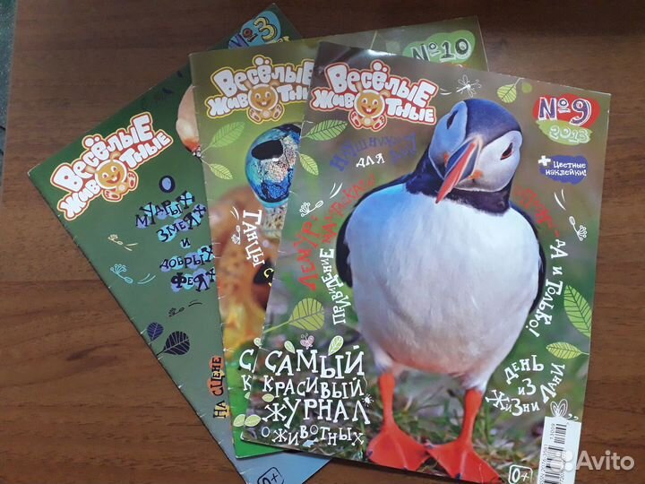 Журнал 