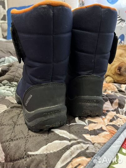 Сапоги демисезонные