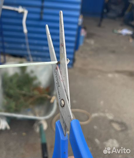 Кисточка, кисть