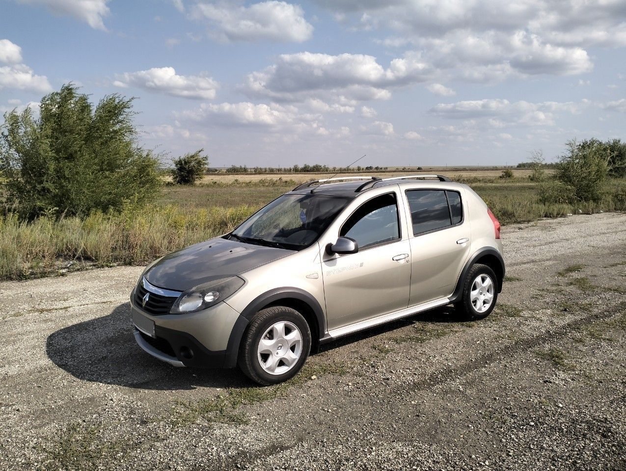 Renault Sandero Stepway: фото владельца