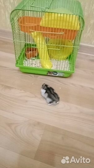 Клетка для хомяка