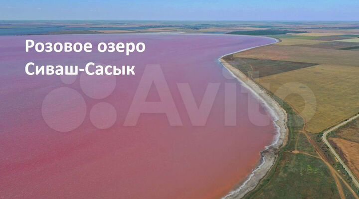 Участок 10 сот. (СНТ, ДНП)