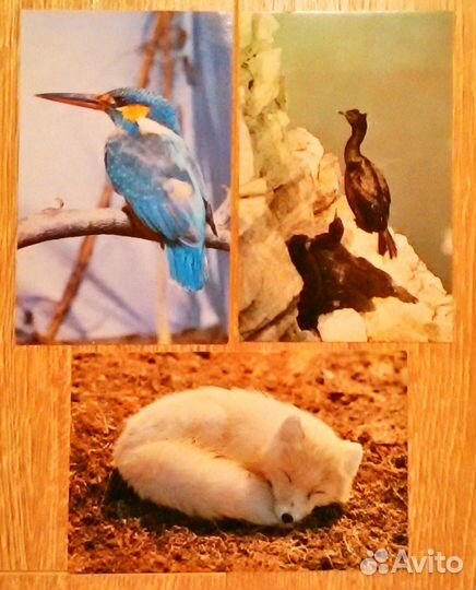 Открытки СССР художника Л. Аристова 1968 г