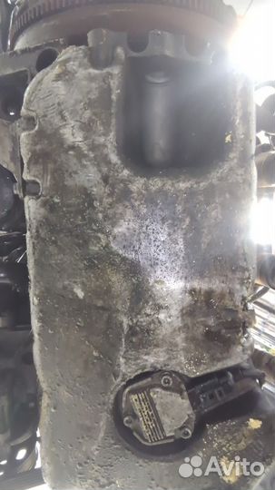 Двигатель Volkswagen Golf 4 BDE