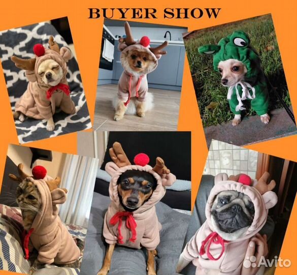 Одежда для маленьких собак xs