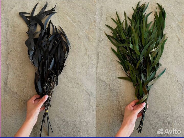 Стабилизированные растения и сухоцветы