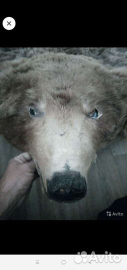 Шкура медведя имитация