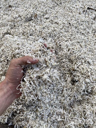 Жом свекольный