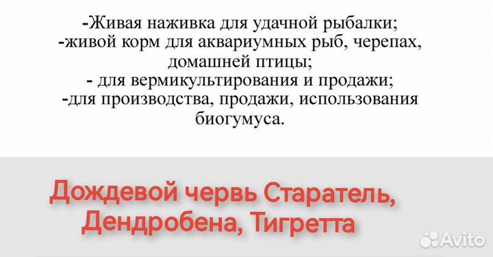 Живой, замороженный дождевой червь