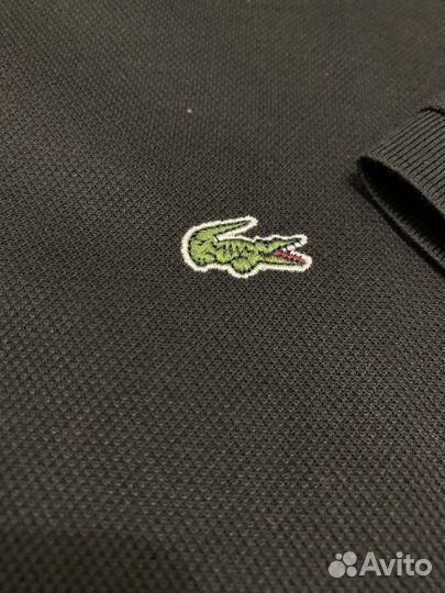 Поло lacoste