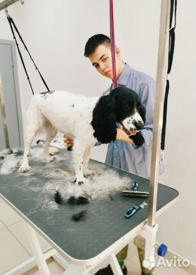 Стрижка собак груминг