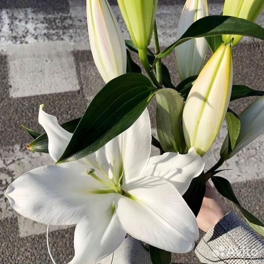 Букет из лилий
