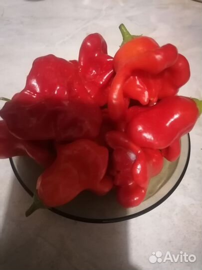 Семена перца разные