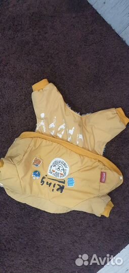 Одежда для средних собак