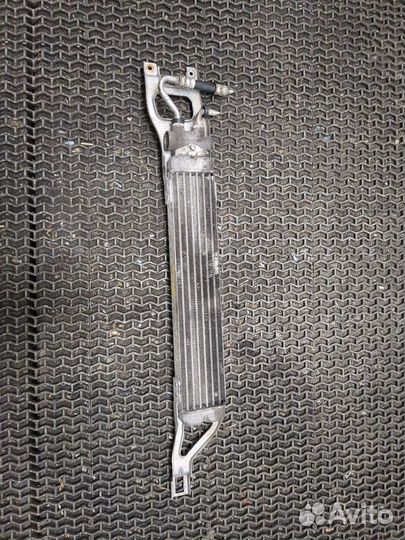 Радиатор масляный Mercedes A W169, 2006