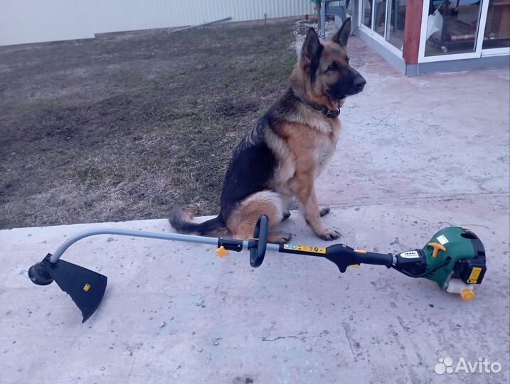 Триммер бензиновый