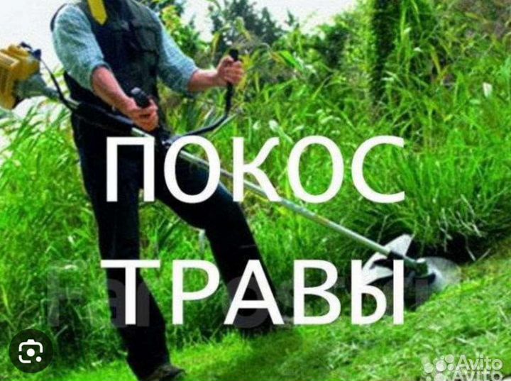 Покос травы триммером