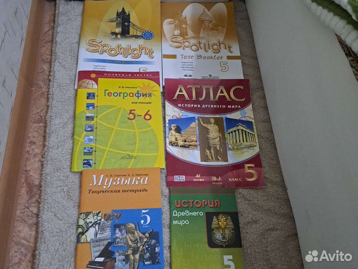 Рабочие тетради 5 класс