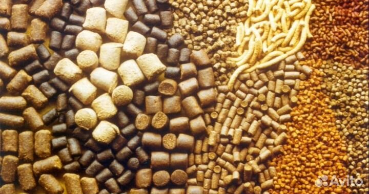 Линии кормления. Корма