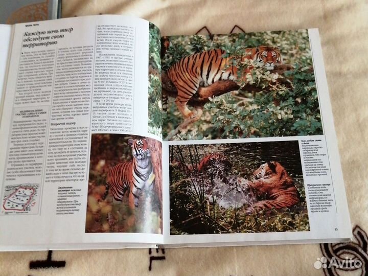 Книга Хозяева Джунглей