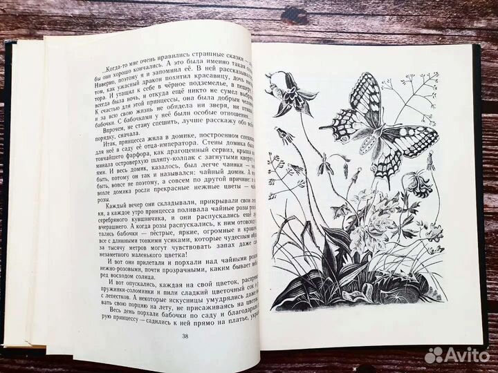 Лев. Пять дней из жизни черепахи 1980 г