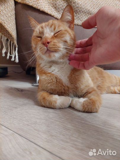 Огненный парень в добрые руки