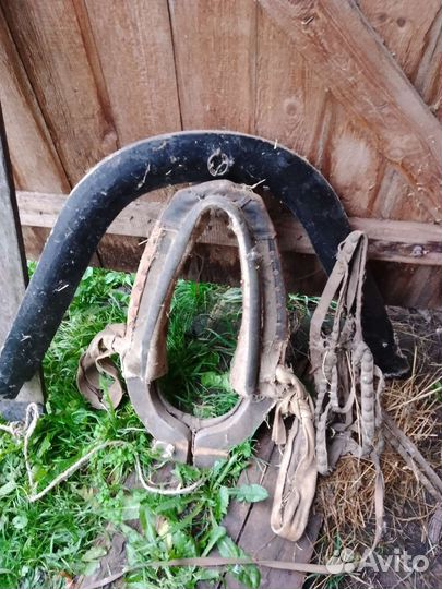 Упряжь для лошади