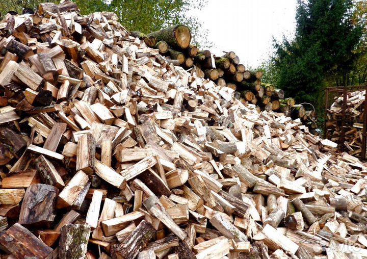 Дрова ольха осина