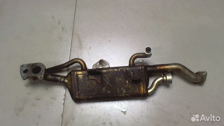 Охладитель отработанных газов Mercedes CLS W218 20