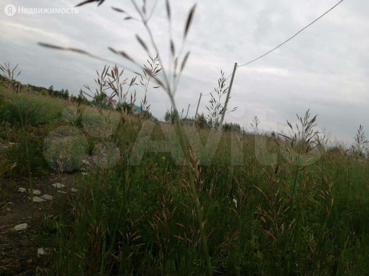 Участок 86 га (СНТ, ДНП)