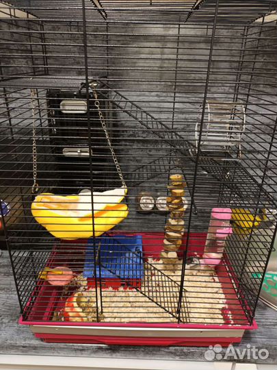 Передержка