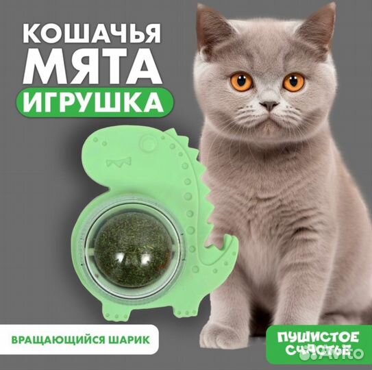 Леденцы для кошек из кошачьей мяты