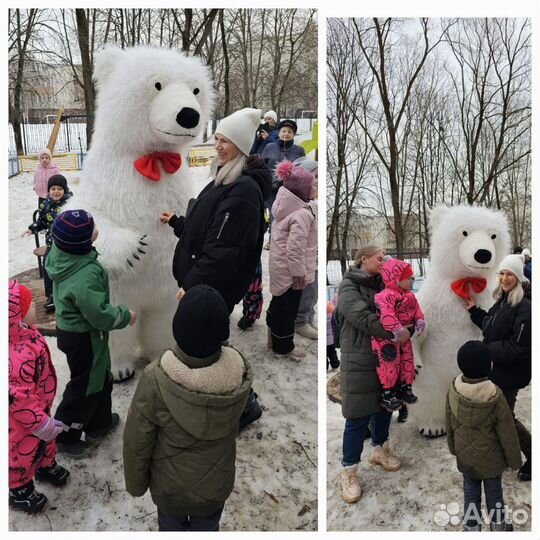 Поздравление от белого мишки